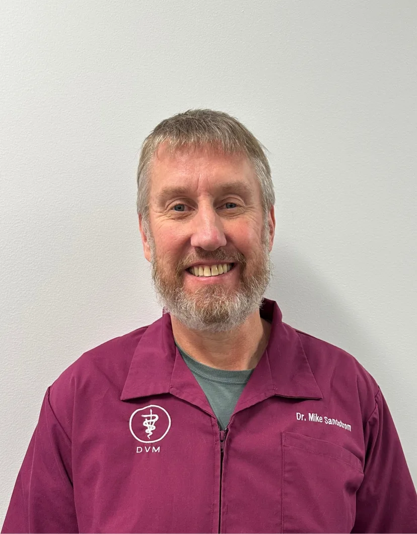 Dr. Mike Sandstorm from Alaska Veterinary Clinic